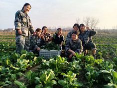 老師如何應對青少年早戀現象？
