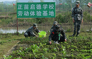 種植基地