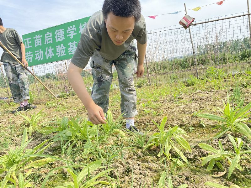 不當?shù)募彝ソ逃龝е虑嗌倌晷睦泶嗳鯁幔? class=