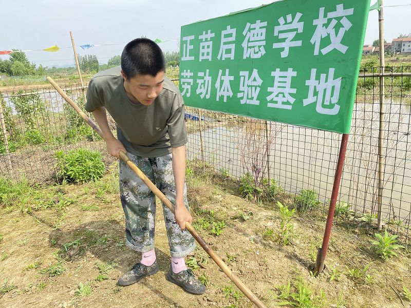 叛逆期孩子教育學校解析：讓青少年具備“抗