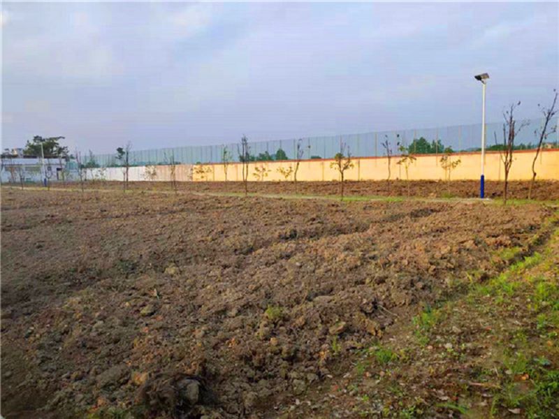 啟德勵志教育湖北學校勞動教育基地什么樣子