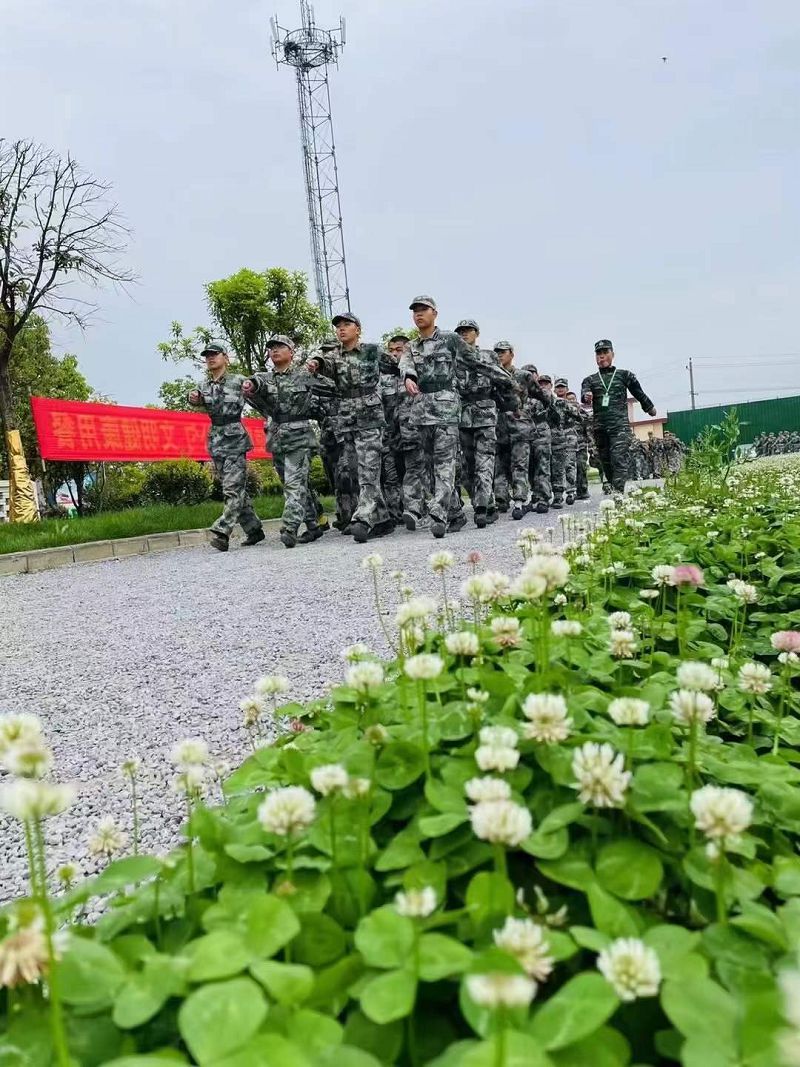 播種和收獲不在同一個季節(jié)，不要急于回報(圖2)