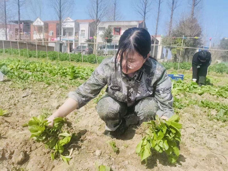 在勞動的過程中，體會勞動的價值與意義