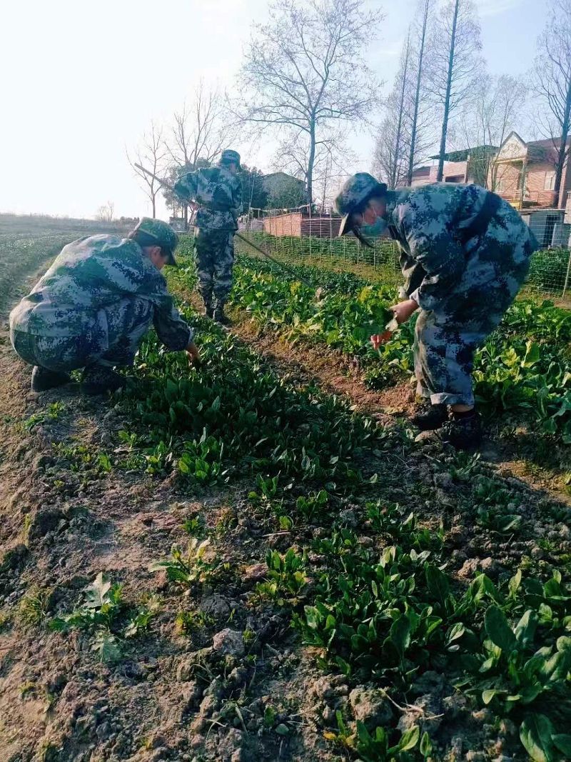 致敬中國(guó)的每一個(gè)勞動(dòng)者，你們都是最偉大的(圖4)