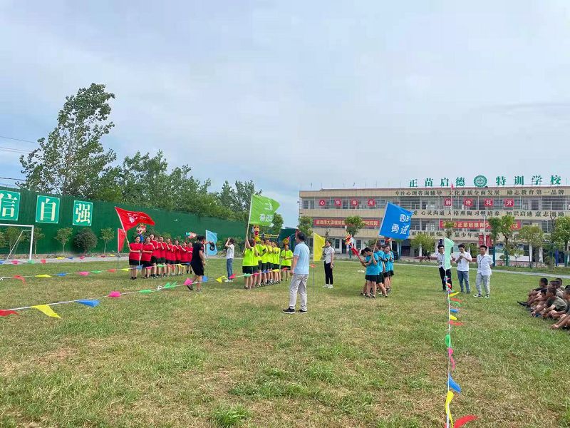 家長對孩子的教育規劃：實行素質教育
