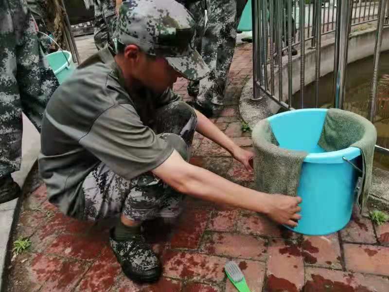 孩子早戀的n條提議，一條條句句戳心，非常